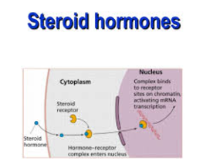 are steroids hormones